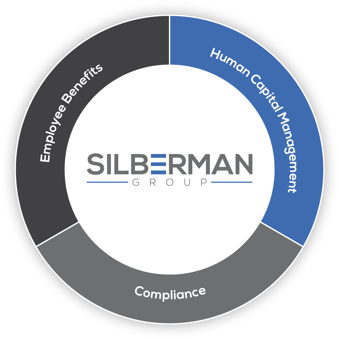 Silberman Group Services Logo